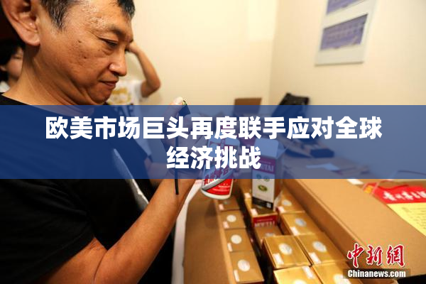 欧美市场巨头再度联手应对全球经济挑战