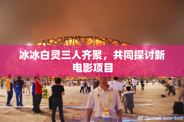 冰冰白灵三人齐聚，共同探讨新电影项目