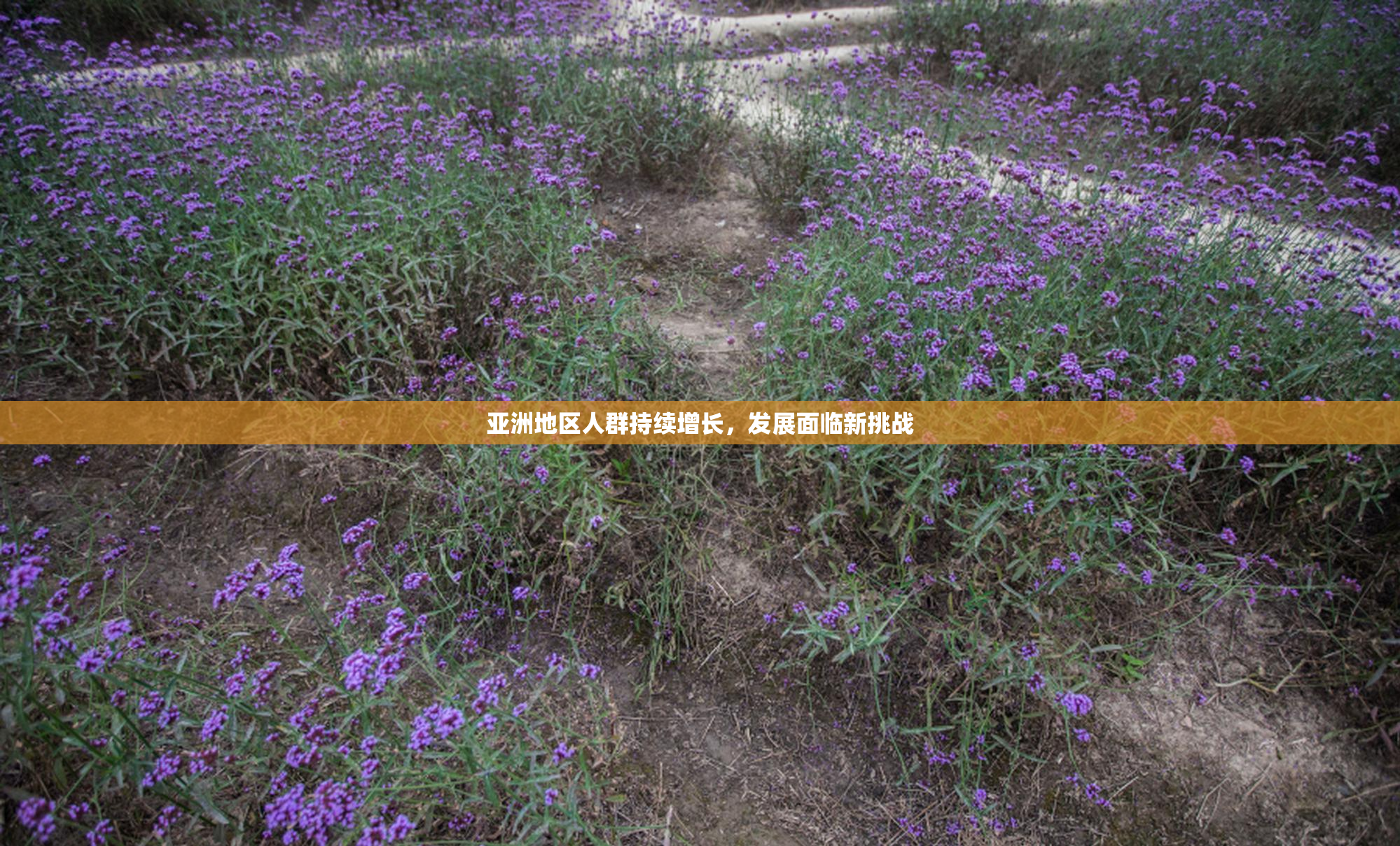 亚洲地区人群持续增长，发展面临新挑战