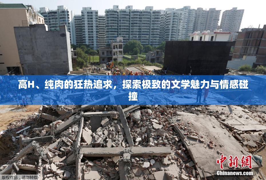 高H、纯肉的狂热追求，探索极致的文学魅力与情感碰撞