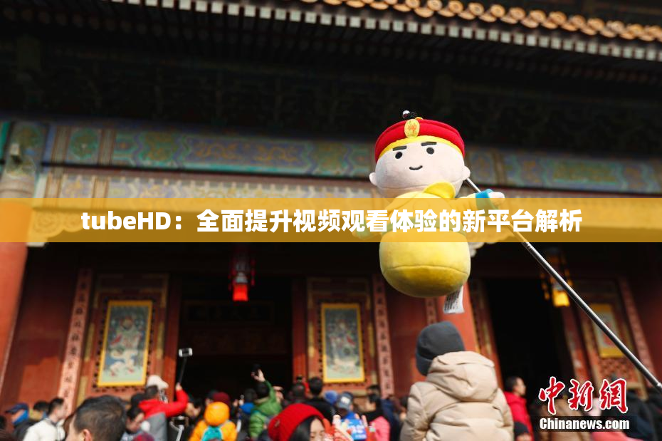 tubeHD：全面提升视频观看体验的新平台解析