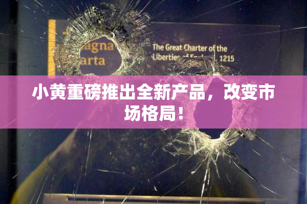 小黄重磅推出全新产品，改变市场格局！