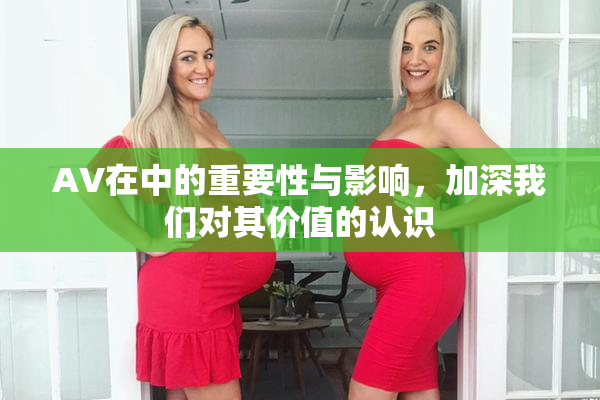 AV在中的重要性与影响，加深我们对其价值的认识