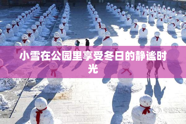 小雪在公园里享受冬日的静谧时光