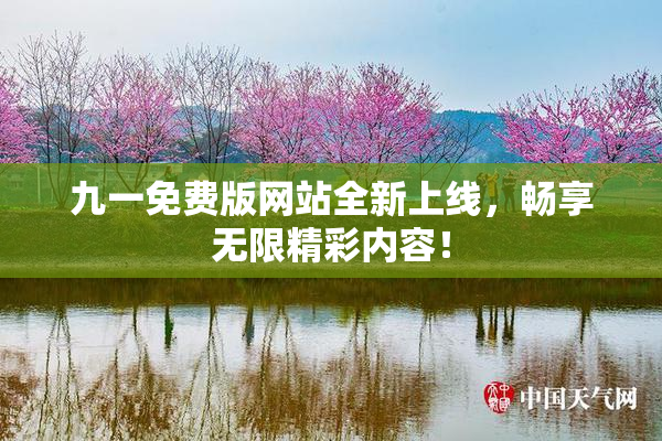 九一免费版网站全新上线，畅享无限精彩内容！