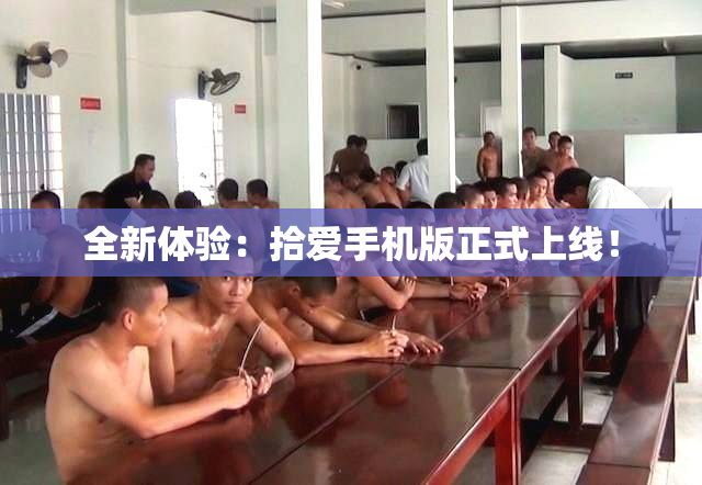 全新体验：拾爱手机版正式上线！