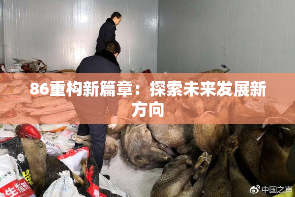 86重构新篇章：探索未来发展新方向