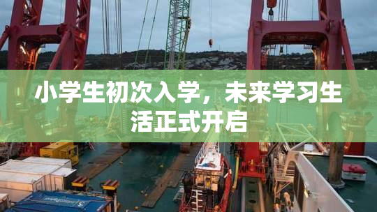 小学生初次入学，未来学习生活正式开启