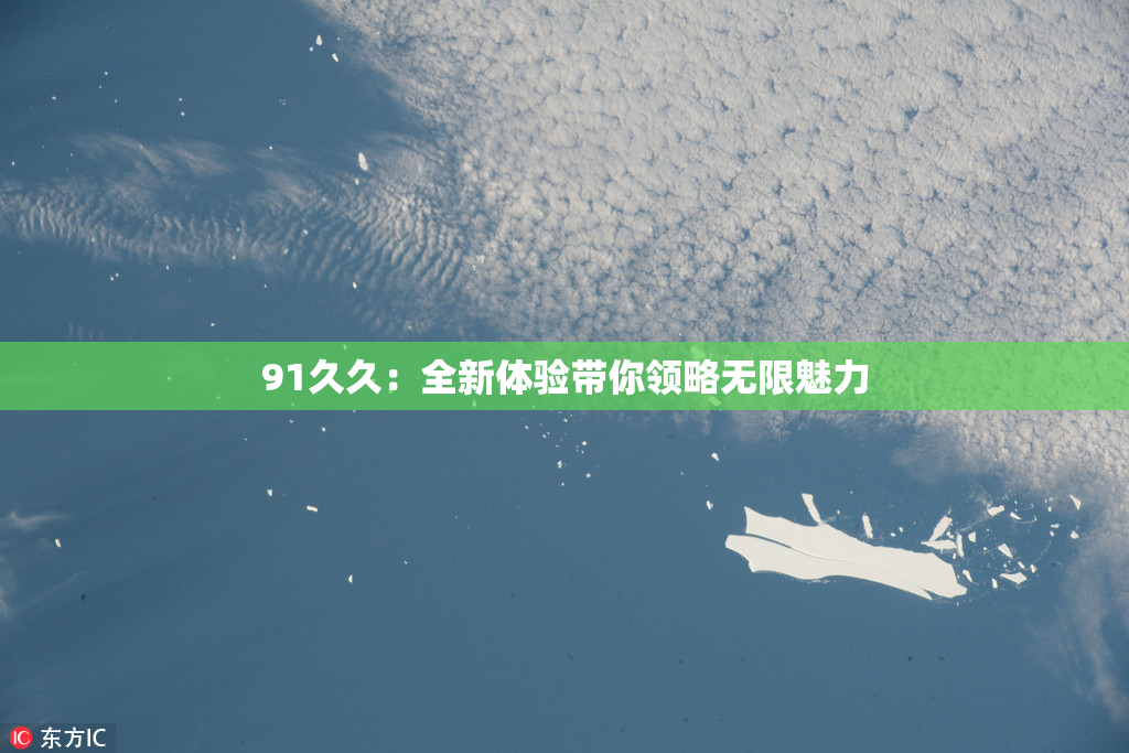 91久久：全新体验带你领略无限魅力