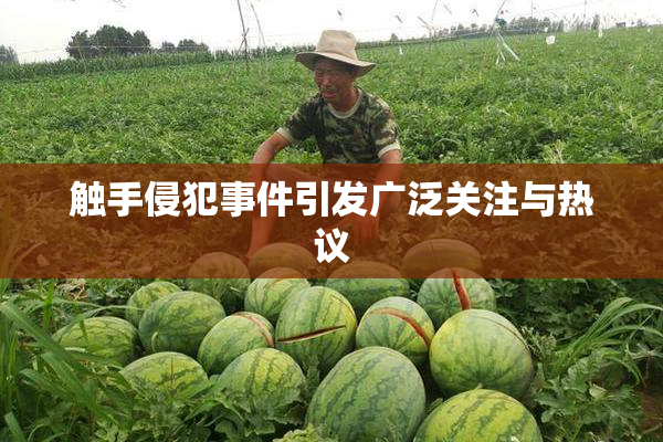 触手侵犯事件引发广泛关注与热议