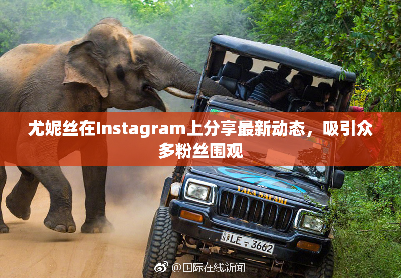 尤妮丝在Instagram上分享最新动态，吸引众多粉丝围观