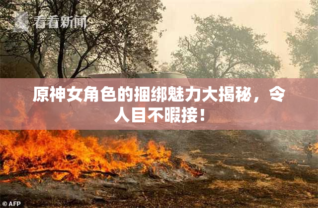 原神女角色的捆绑魅力大揭秘，令人目不暇接！