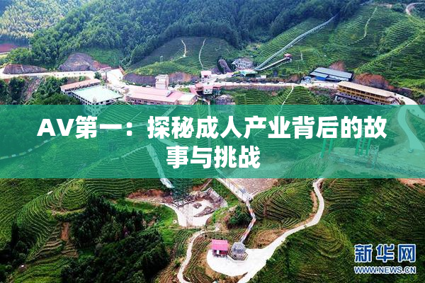 AV第一：探秘成人产业背后的故事与挑战