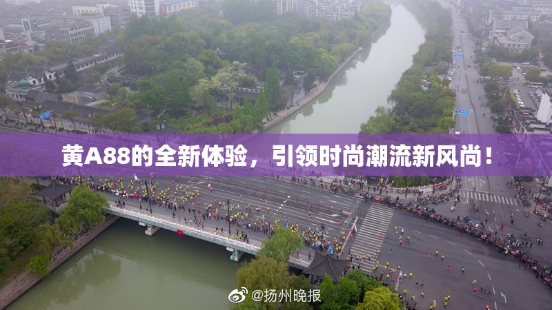 黄A88的全新体验，引领时尚潮流新风尚！