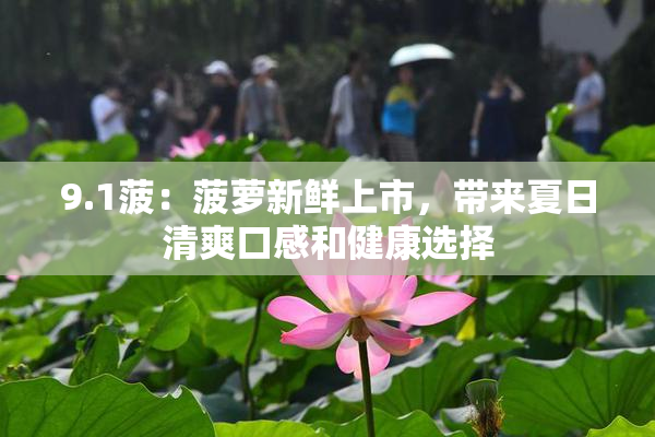 9.1菠：菠萝新鲜上市，带来夏日清爽口感和健康选择