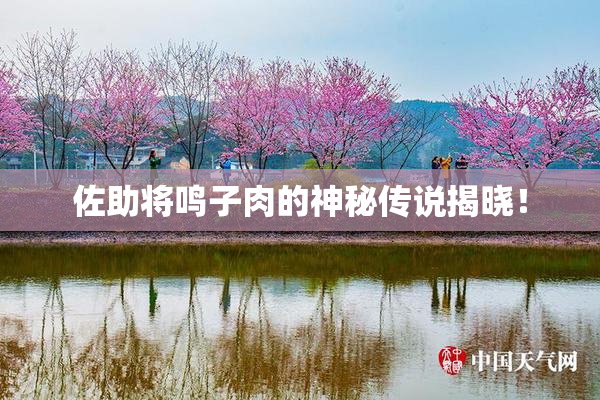 佐助将鸣子肉的神秘传说揭晓！