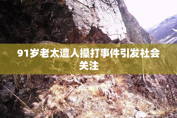 91岁老太遭人搡打事件引发社会关注