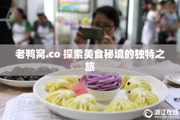 老鸭窝.co 探索美食秘境的独特之旅