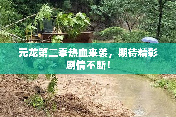 元龙第二季热血来袭，期待精彩剧情不断！