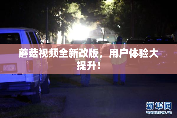 蘑菇视频全新改版，用户体验大提升！