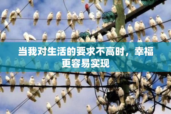 当我对生活的要求不高时，幸福更容易实现