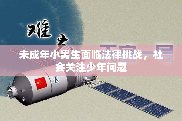 未成年小男生面临法律挑战，社会关注少年问题
