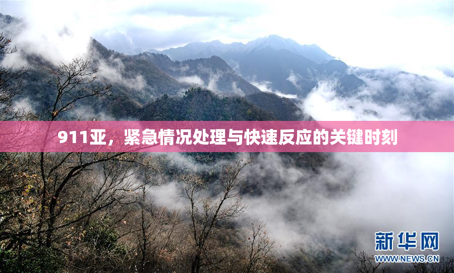 911亚，紧急情况处理与快速反应的关键时刻