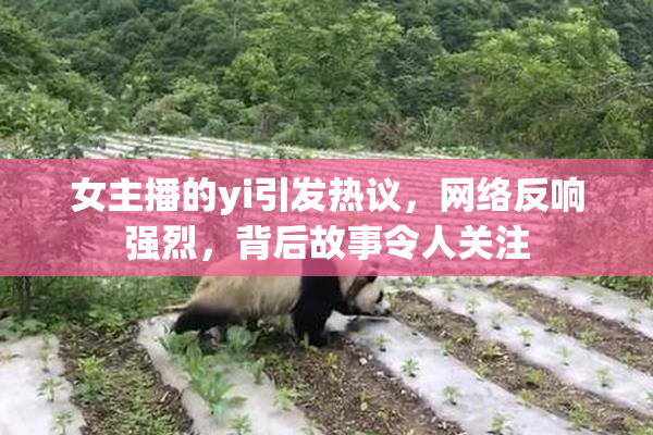 女主播的yi引发热议，网络反响强烈，背后故事令人关注