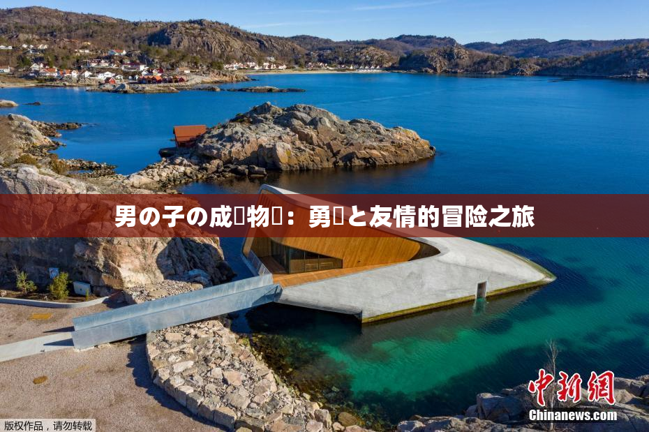 男の子の成長物語：勇気と友情的冒险之旅