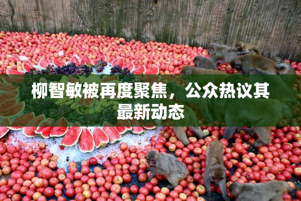 柳智敏被再度聚焦，公众热议其最新动态