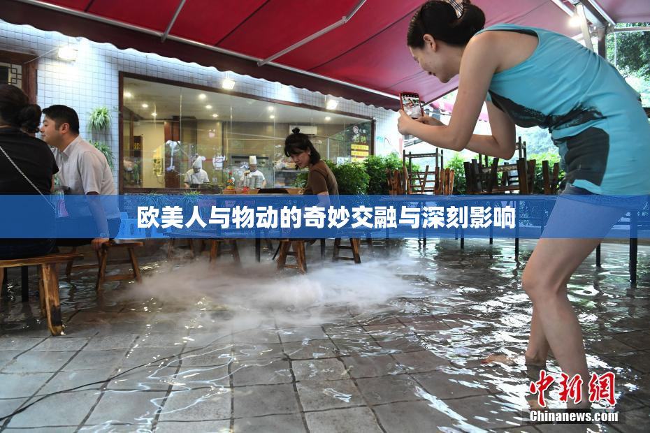 欧美人与物动的奇妙交融与深刻影响