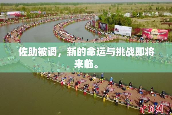 佐助被调，新的命运与挑战即将来临。