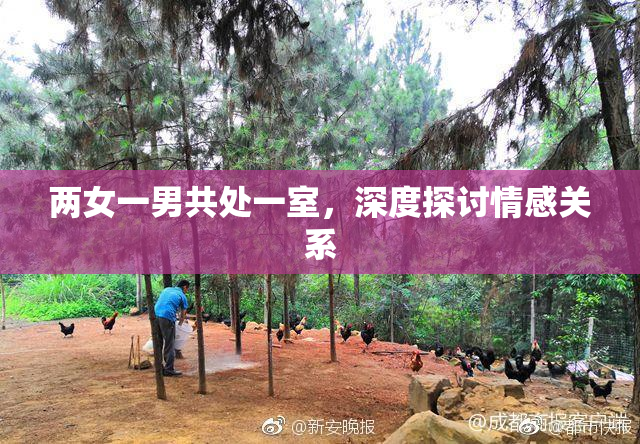 两女一男共处一室，深度探讨情感关系