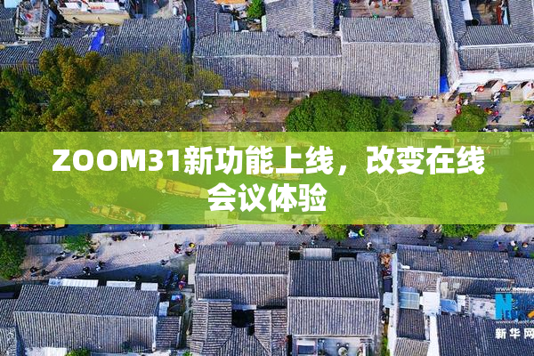ZOOM31新功能上线，改变在线会议体验