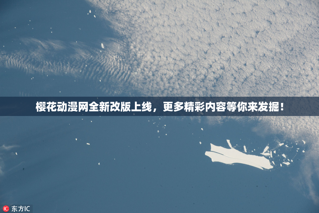 樱花动漫网全新改版上线，更多精彩内容等你来发掘！