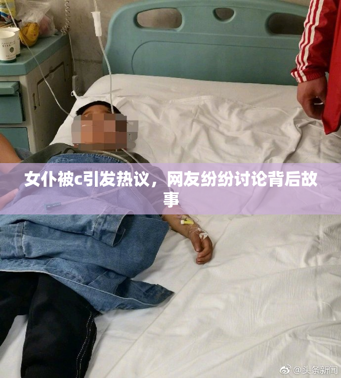 女仆被c引发热议，网友纷纷讨论背后故事