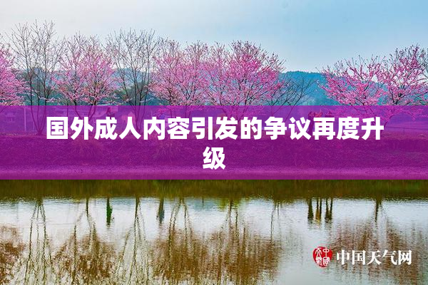 国外成人内容引发的争议再度升级