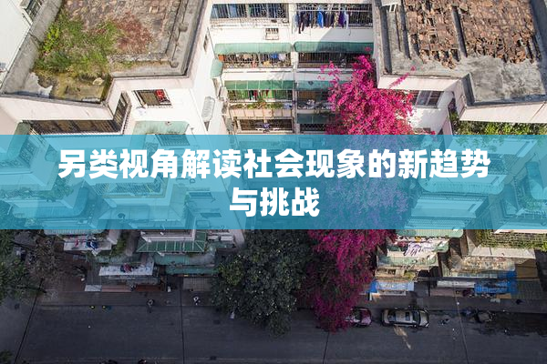 另类视角解读社会现象的新趋势与挑战