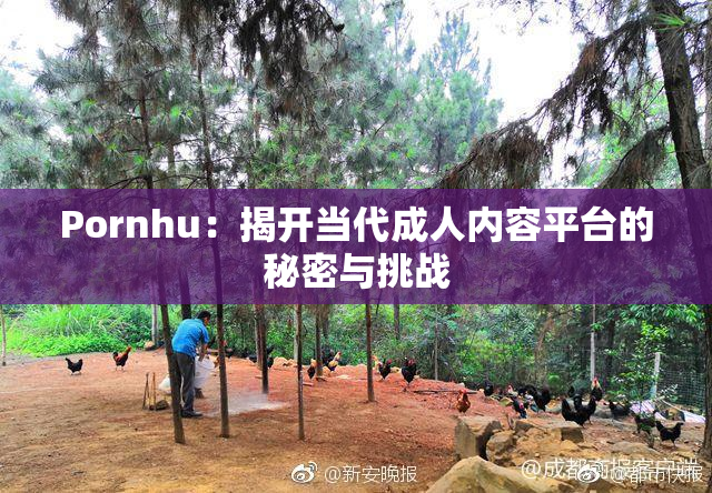 Pornhu：揭开当代成人内容平台的秘密与挑战
