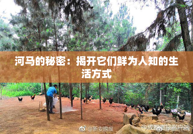 河马的秘密：揭开它们鲜为人知的生活方式