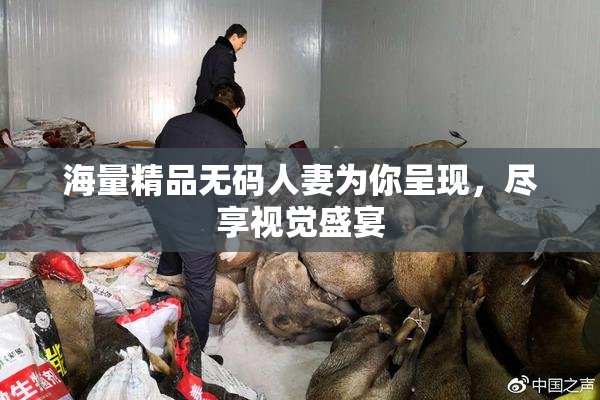 海量精品无码人妻为你呈现，尽享视觉盛宴