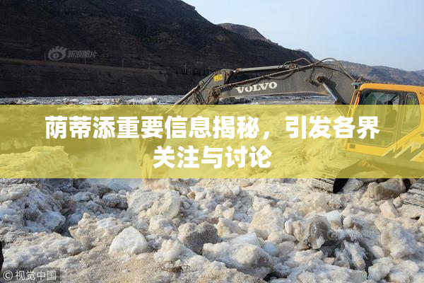 荫蒂添重要信息揭秘，引发各界关注与讨论