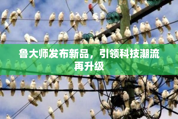 鲁大师发布新品，引领科技潮流再升级