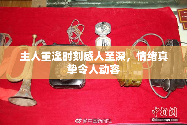 主人重逢时刻感人至深，情绪真挚令人动容