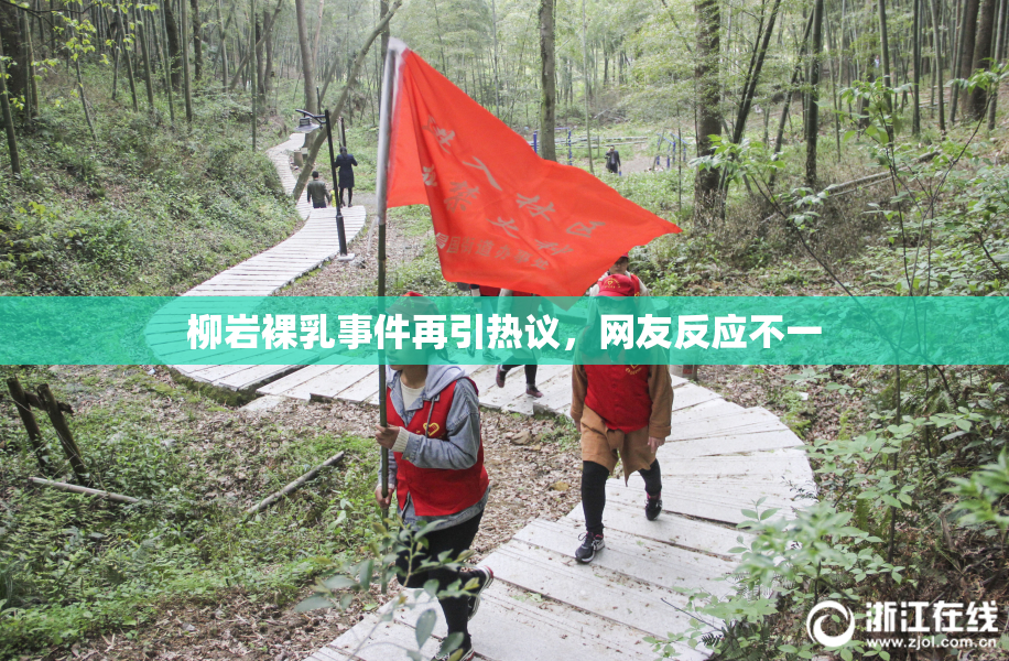 柳岩裸乳事件再引热议，网友反应不一