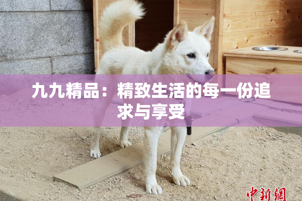 九九精品：精致生活的每一份追求与享受