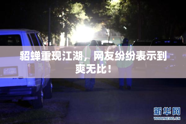 貂蝉重现江湖，网友纷纷表示到爽无比！