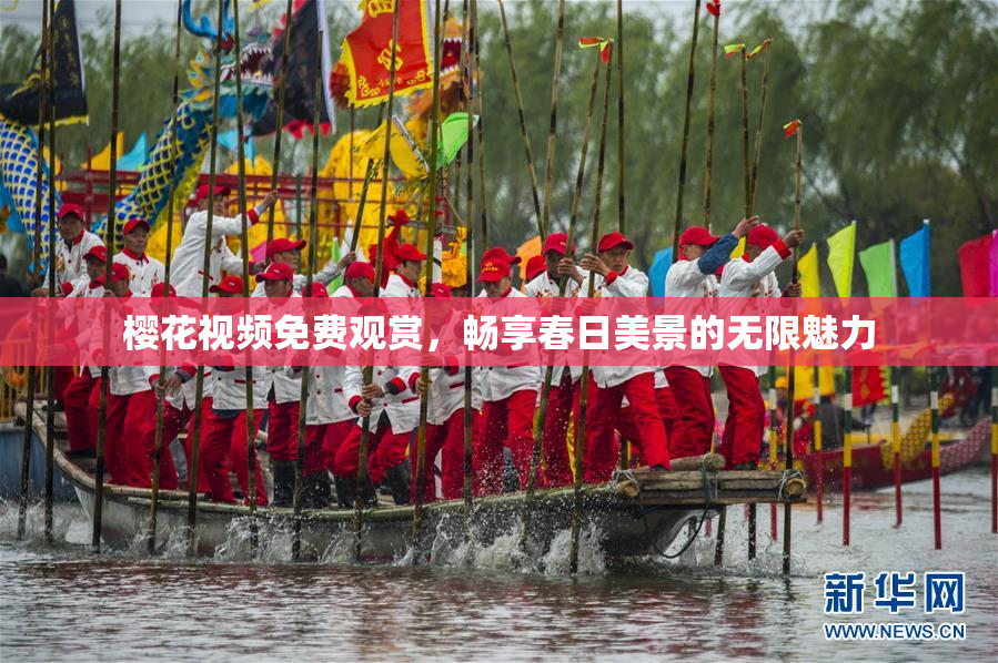 樱花视频免费观赏，畅享春日美景的无限魅力
