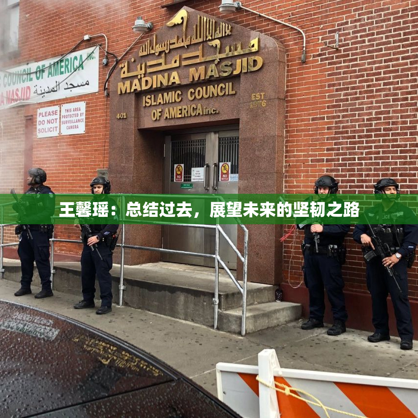 王馨瑶：总结过去，展望未来的坚韧之路