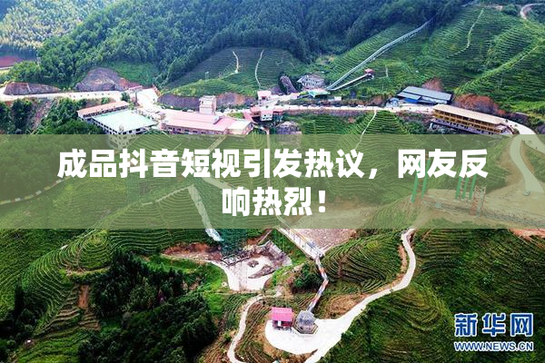 成品抖音短视引发热议，网友反响热烈！